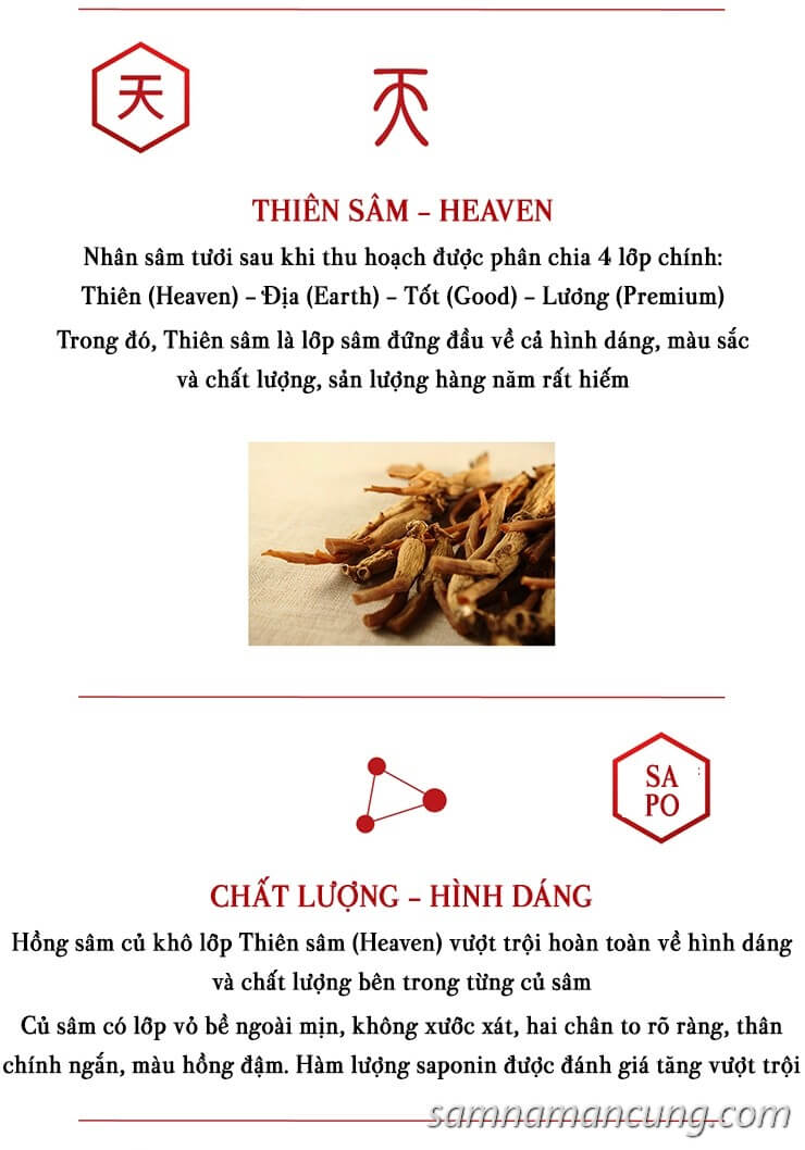 Thiên Sâm (Heaven – Sâm Tiên) Daedong số 30 