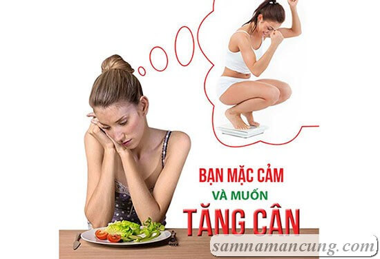 Thuốc Tăng Cân Daewoong Selen Yeast Dành Cho Người Gầy