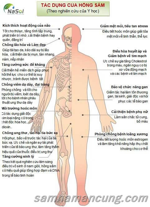  Công dụng nước hồng sâm Hàn Quốc